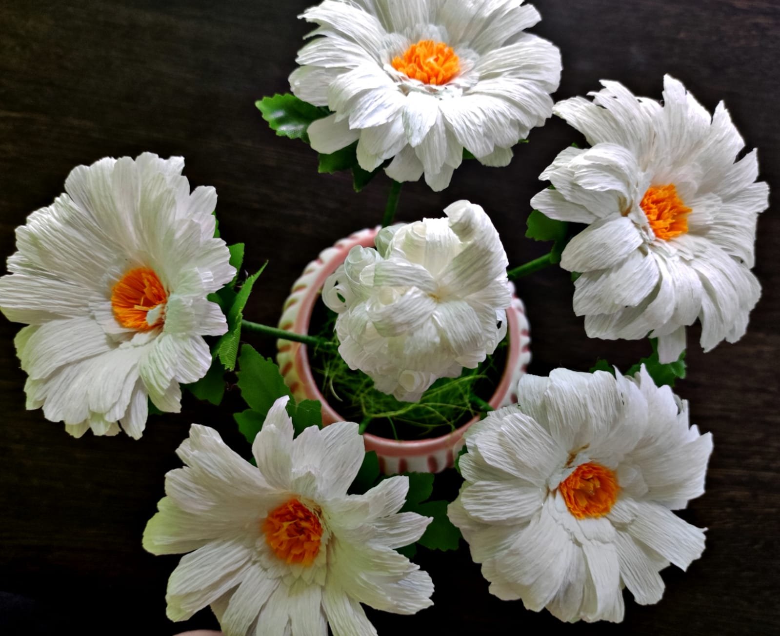 Центр «Содействие» вырастил белые цветы